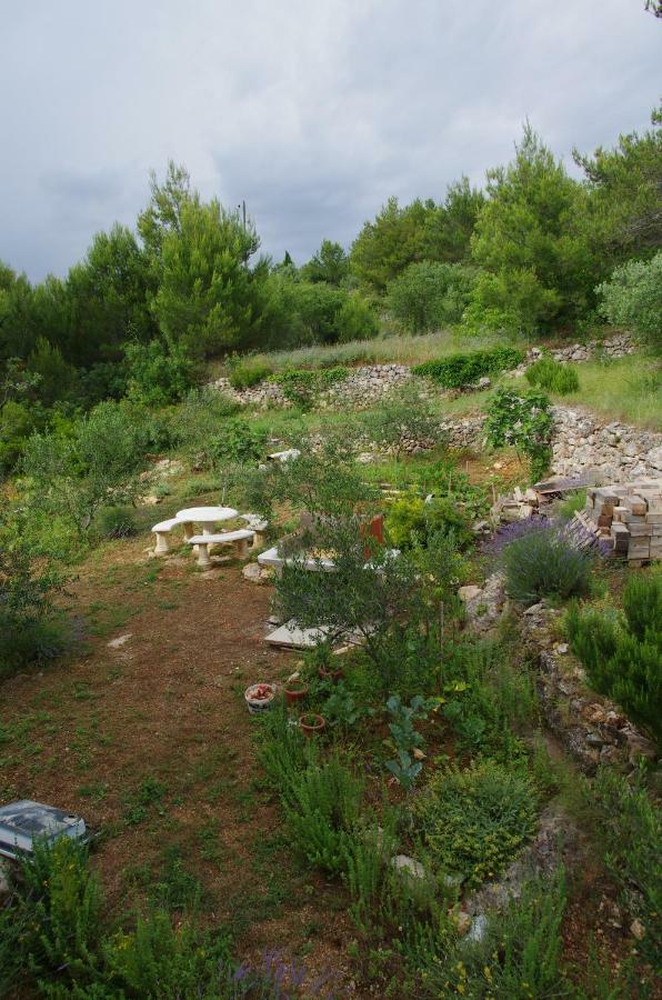 Milica Garden Apartamento Prvic Sepurine Exterior foto